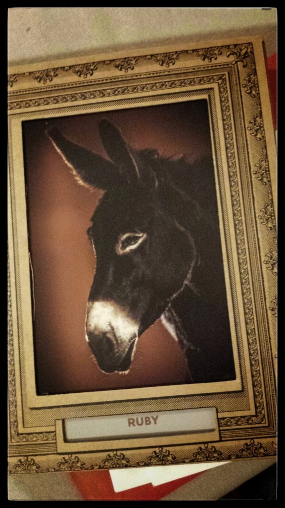 The Donkey Sanctuary